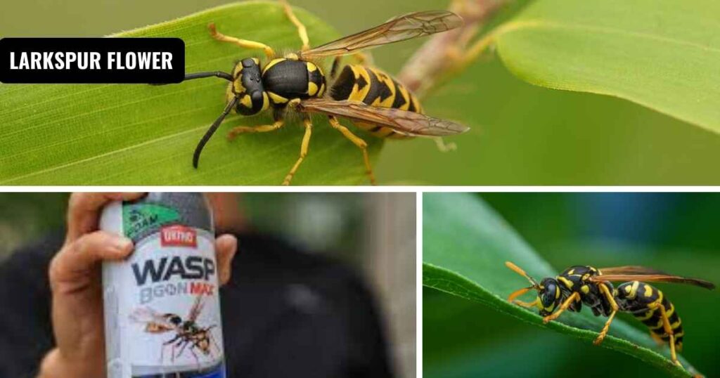 how to kill wasps