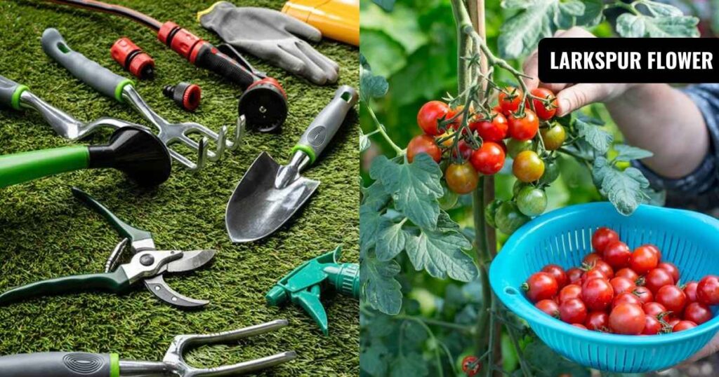 how to prune tomato plants