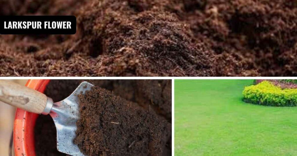 how much dirt do i need