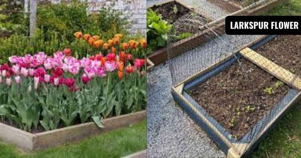 how much dirt do i need