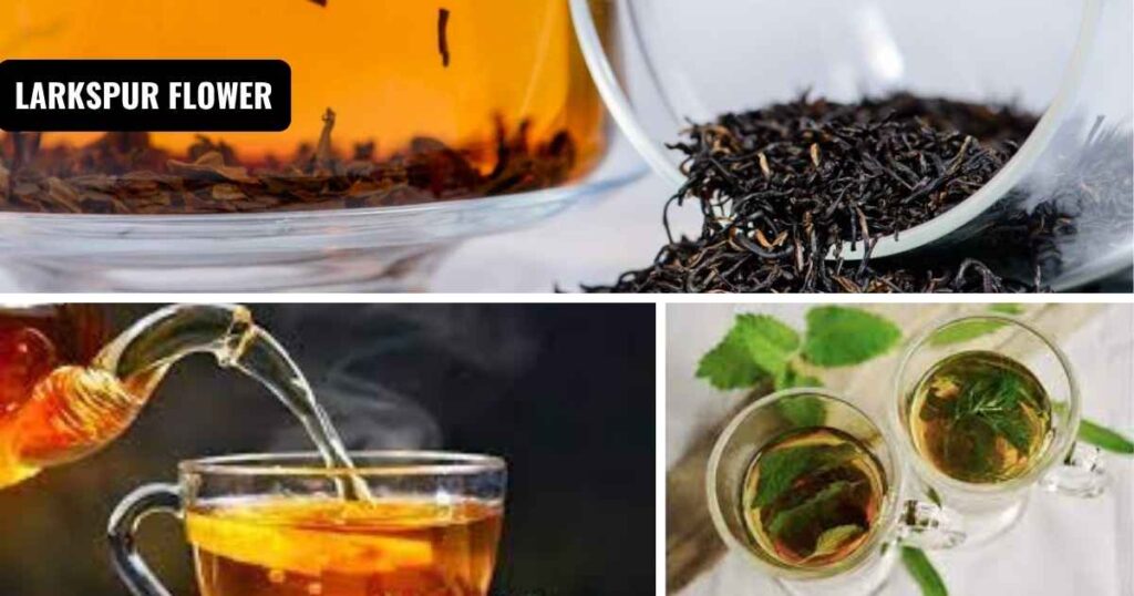 how to brew loose leaf tea