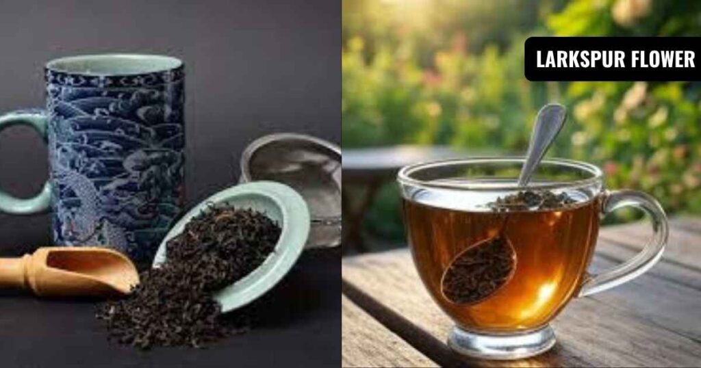 how to brew loose leaf tea