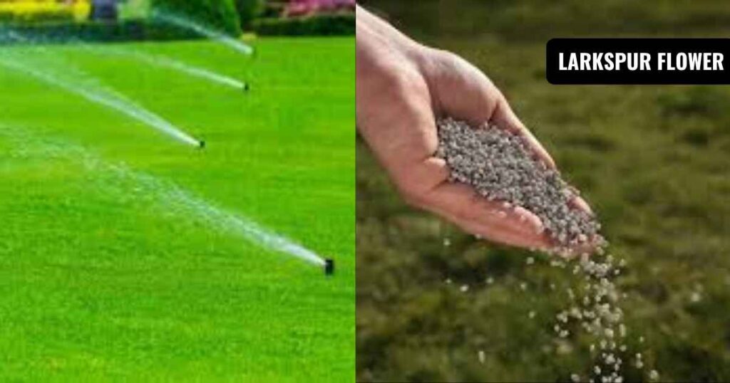 when does grass stop growing