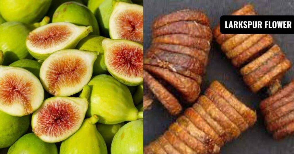 when is fig season