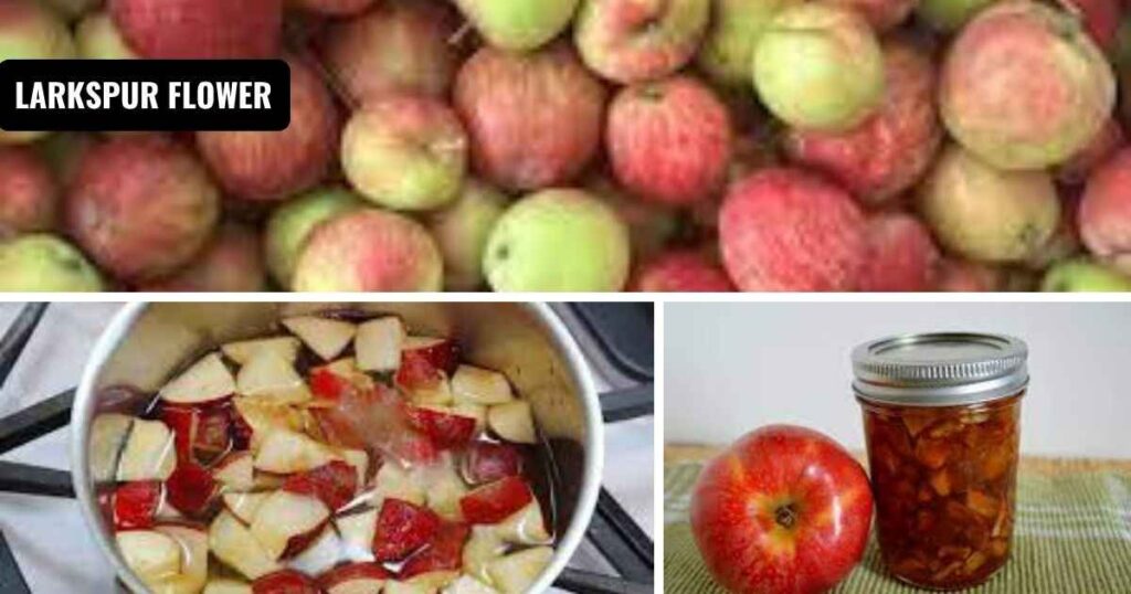 how to can apples