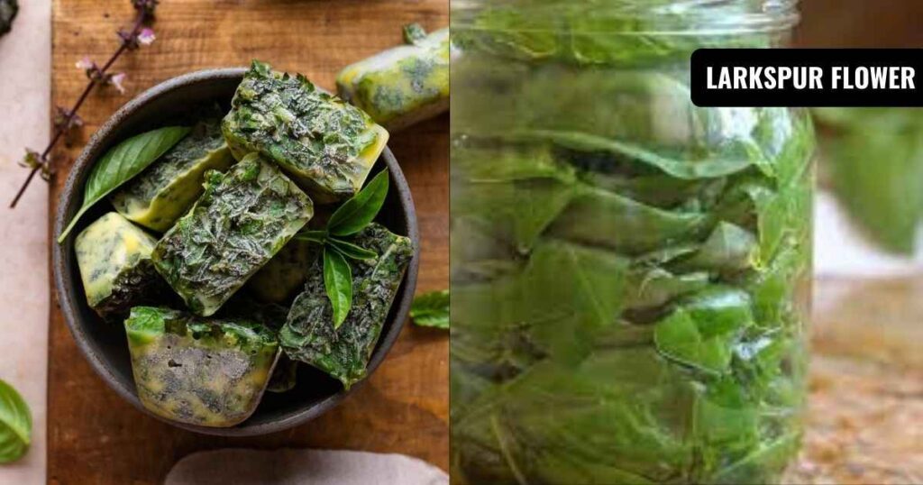 how to freeze fresh basil