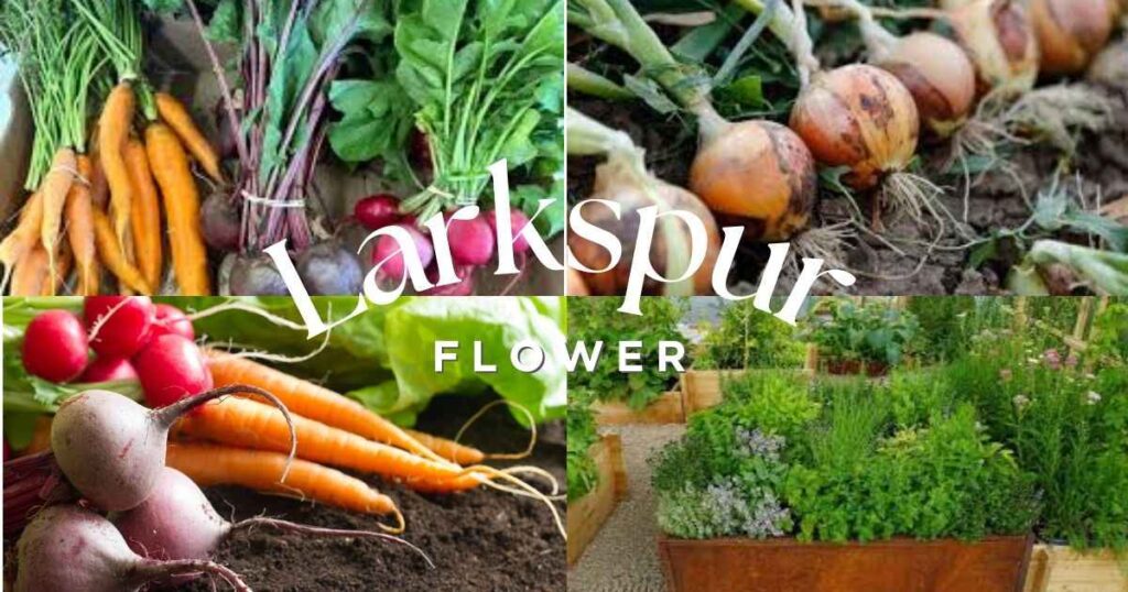 what to plant in march